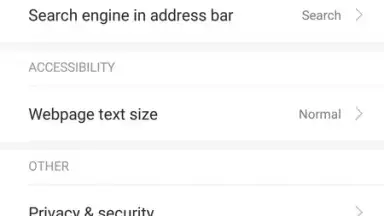 Screenshot von Mint Browser 8