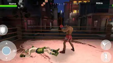 Screenshot von Tag Team Boxing 2