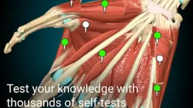 Screenshot von 3D Anatomy Learning 3