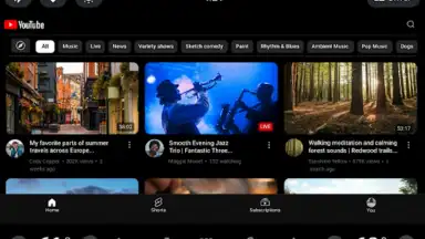 Screenshot von YouTube (Android Auto) 5