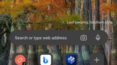Screenshot von Microsoft Edge Dev 1