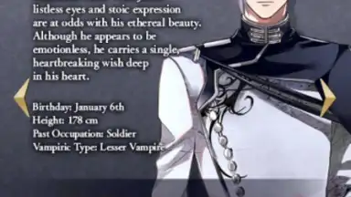 Screenshot von IkemenVampire 4