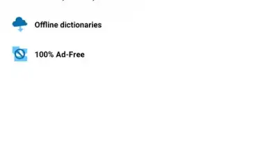 Screenshot von Reverso Translation Dictionary 2