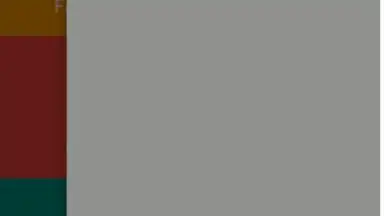 Screenshot von BrowserR 1