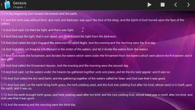 Screenshot von Holy Bible King James Version 12