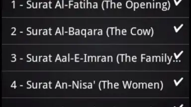 Screenshot von BanglaQuran 5
