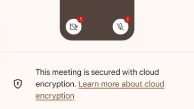 Screenshot von Google Meet 16
