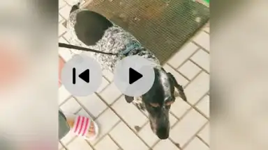 Screenshot von iShot Video Editor 2