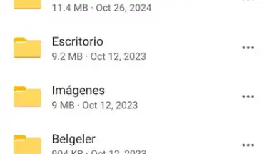 Screenshot von Microsoft OneDrive 1