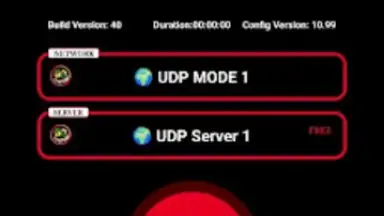 Screenshot von BD NET VPN 3