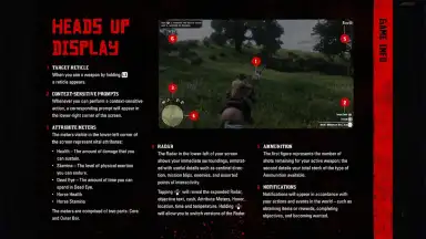 Screenshot von RDR2: Companion 5
