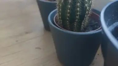 Screenshot von TikTok Now 4