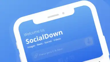 Screenshot von SocialDown: no watermark 2