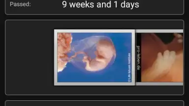 Screenshot von Pregnancy Assistant 3