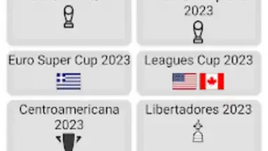 Screenshot von World Football Simulator 14