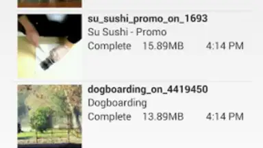 Screenshot von AVD Android Video Downloader 4