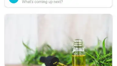 Screenshot von Pregnancy + 12