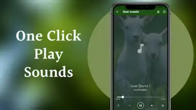 Screenshot von Goat Sounds 6