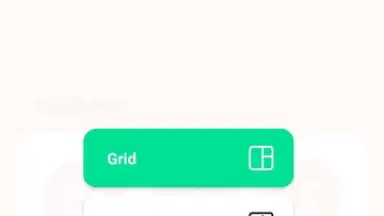 Screenshot von InShot 17