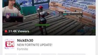 Screenshot von Twitch 2
