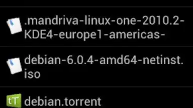 Screenshot von tTorrent Lite 5