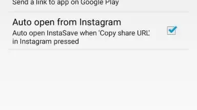Screenshot von Скачать картинку видео из инстаграм 3