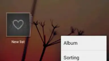 Screenshot von GO Media Manager 1