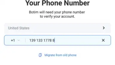 Screenshot von BOTIM 1