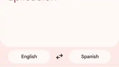 Screenshot von Google Translate 13