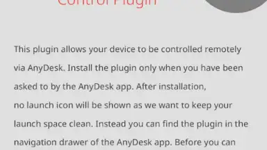 Screenshot von AnyDesk plugin ad1 8