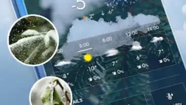 Screenshot von Local Weather Widget 9