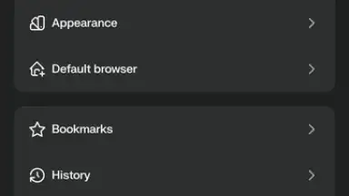 Screenshot von Comet Browser 7