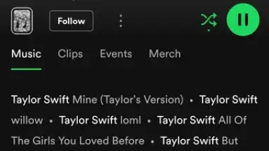 Screenshot von Spotify 26
