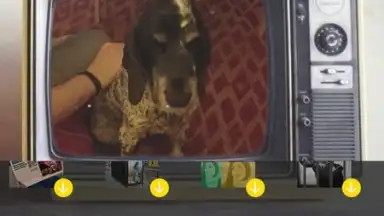 Screenshot von V Camera 5