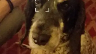 Screenshot von V Camera 7