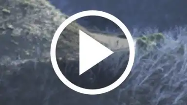 Screenshot von HD Video Downloader Free 9