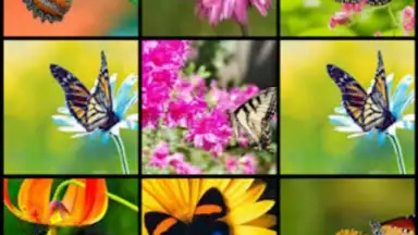 Screenshot von Butterfly Flower for DoodleTex 3