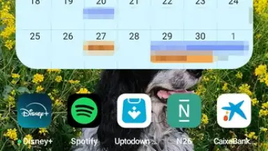 Screenshot von Google Calendar 8