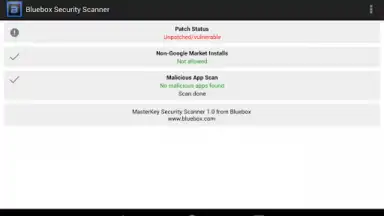 Screenshot von Bluebox Security Scanner 1