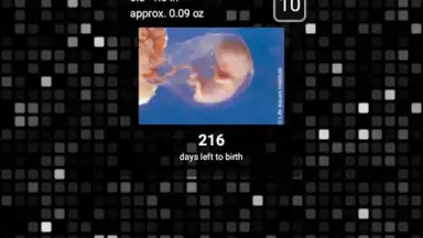 Screenshot von Pregnancy Assistant 1