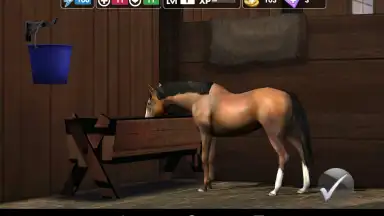 Screenshot von My Horse 4