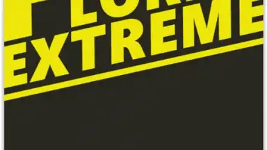 Screenshot von SRPG - Pocket Lord EX 1