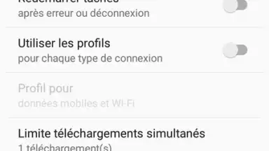 Screenshot von IDM (internet download menager) 5