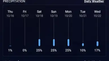 Screenshot von Local Weather Widget 11