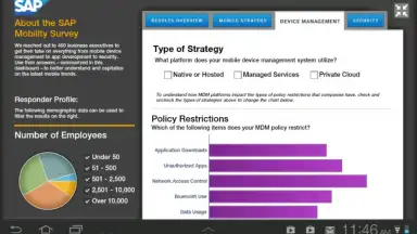 Screenshot von SAP BI 1