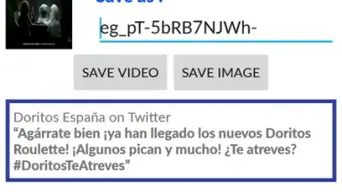 Screenshot von Video Downloader for Twitter 3