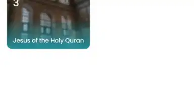 Screenshot von The Holy Quran - English 1