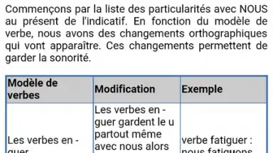 Screenshot von Le Conjugueur 4