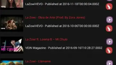 Screenshot von STube Music Downloader 3