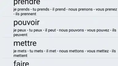 Screenshot von Le Conjugueur 5